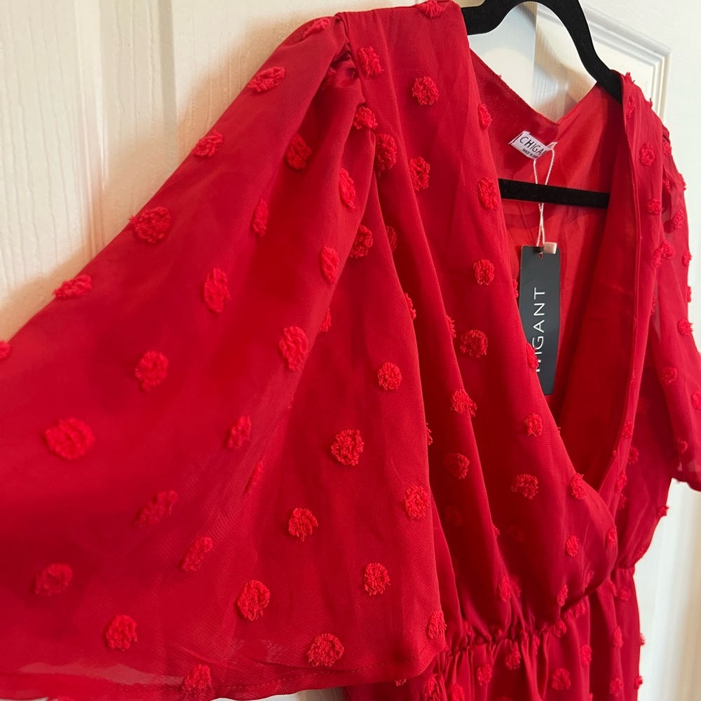 NWT Chiffon Ruffle Dress - Picture 2 of 5